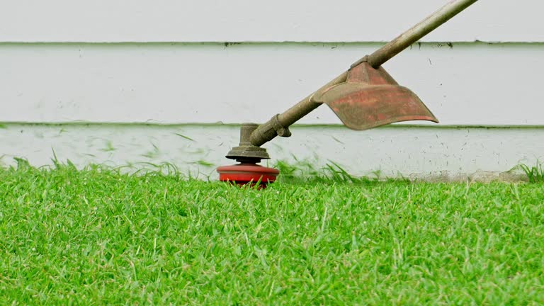 Best Lawn Drainage Solutions  in Huntington Woods, MI