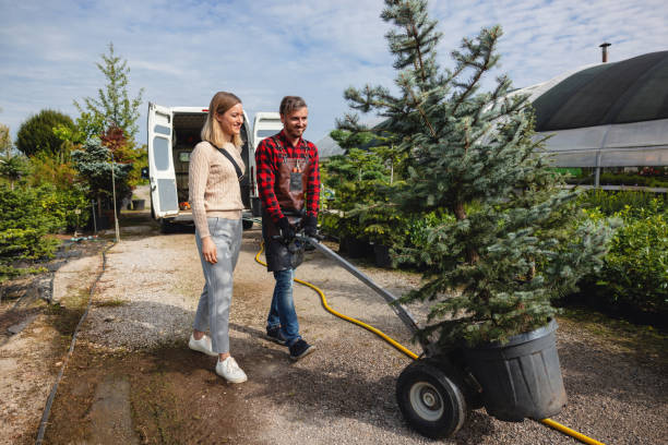 Best Seasonal Cleanup (Spring/Fall)  in Huntington Woods, MI